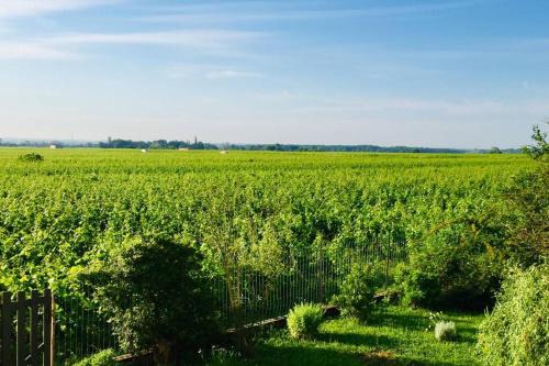 Gevrey-Chambertin Apartment | Appartement avec vue sur les vignes à Gevrey