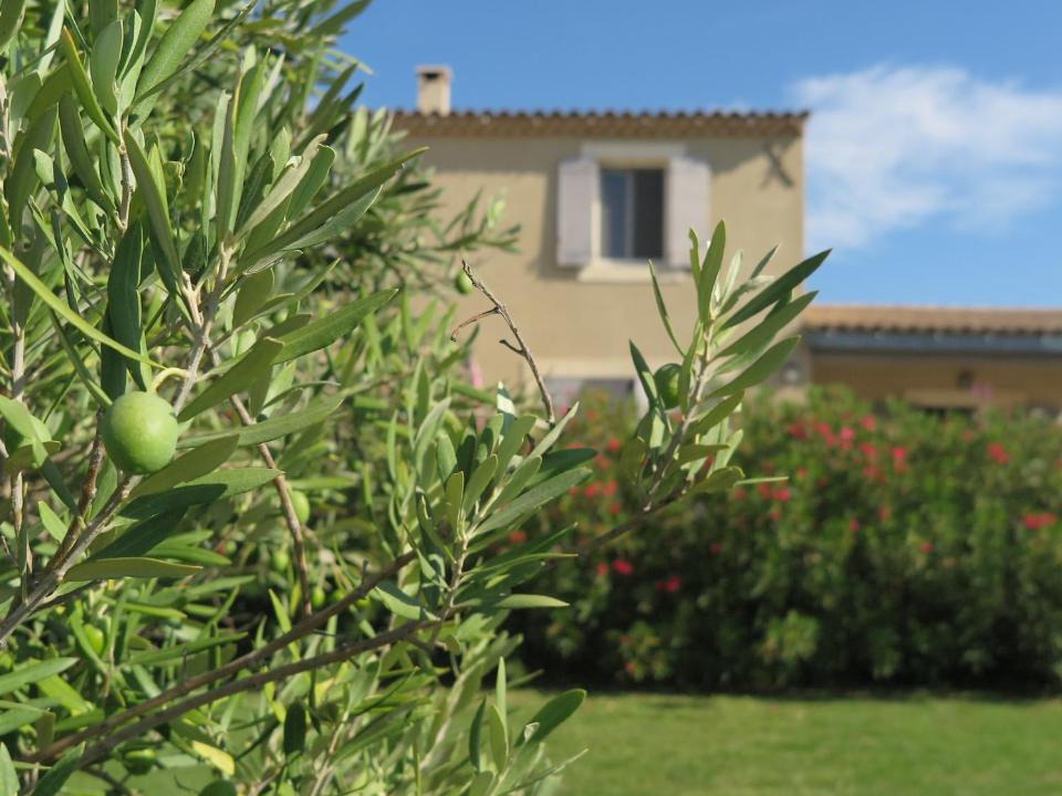 Cabrieres-d'Avignon Apartment | Gite LE PETIT LUBERON COQUELICOT