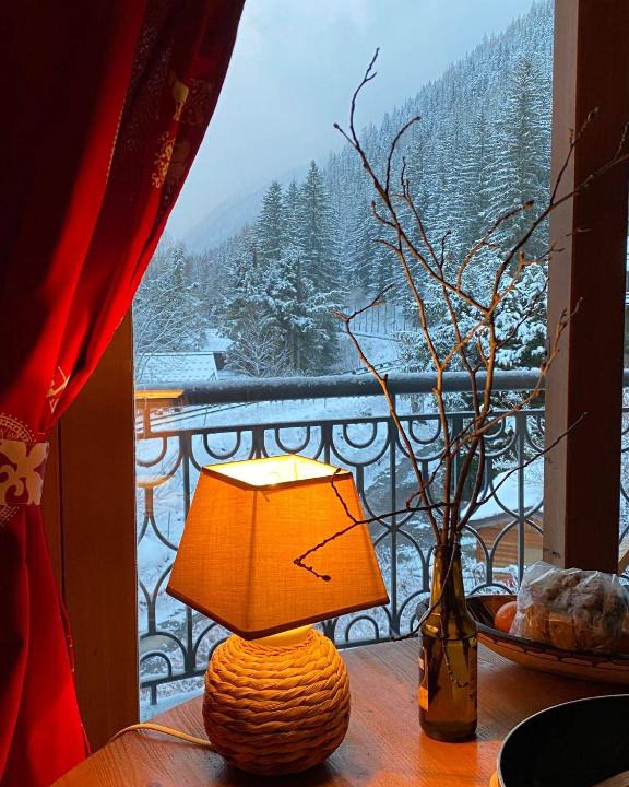 Argentiere Apartment | Happy Moose - Cosy Mont Blanc View apartment with sauna and swimming pool