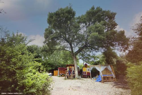 Arles Other | La Roulotte Cavalière, au cœur d'une manade en Camargue