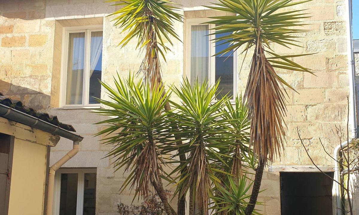 Saint Seurin - Fondaudege House | Loft house like in the middle of nature