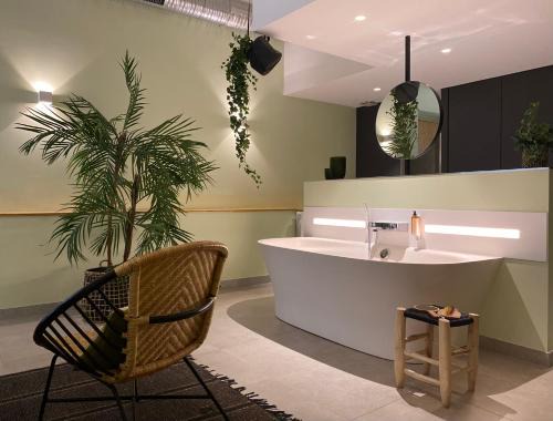 Carnot - Gailleton Hotel | MiHotel Comte