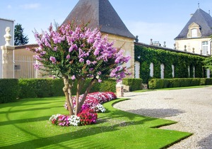 Homerez - Nice house 11 km away from the beach for 4 ppl. with garden at Hourtin in Hourtin
