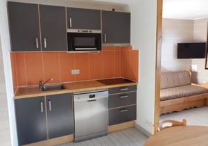 Spacious apartment for 8, near shops and slopes, Avoriaz