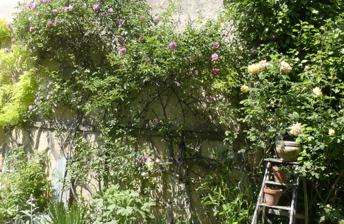 Jouvence House | A secret garden in the heart of Dijon, 10 minutes from the Burgundy countryside