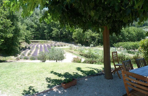 Pernes-les-Fontaines House | Apartment/flat - Pernes les fontaines
