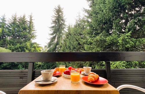 Les Gets Apartment | Apartment Nael - LES GETS: in the center and at the foot of the slopes