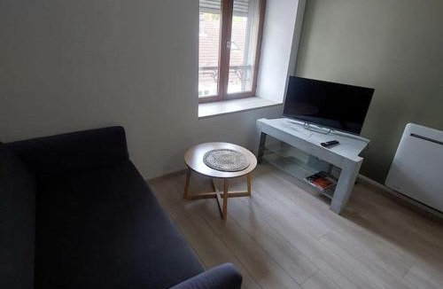 Bourbonne-les-Bains Apartment | appartement rénové centre ville