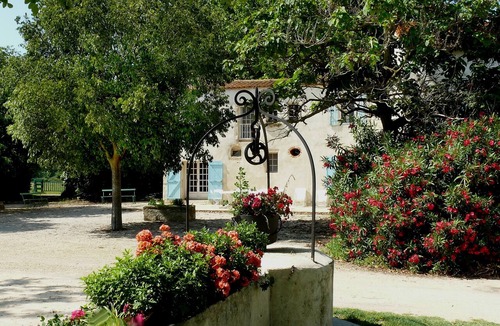 Arles House | At the heart of the Camargue Regional Nature Park Bulls Livestock and Horses