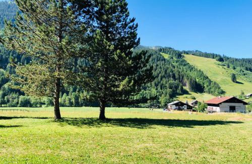 La Chapelle-d'Abondance Bed & Breakfast | CENT CRISTAUX