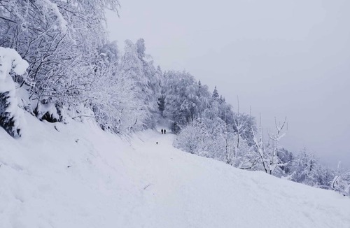 Bons-en-Chablais House | Cosy house between Lake Geneva and the mountains