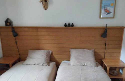 La Chapelle-d'Abondance Apartment | Deux-pièces confortable proche ski avec balcon et parking - FR-1-692-33