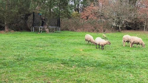 Saugon Bed & Breakfast | Domaine de La Sarrotte