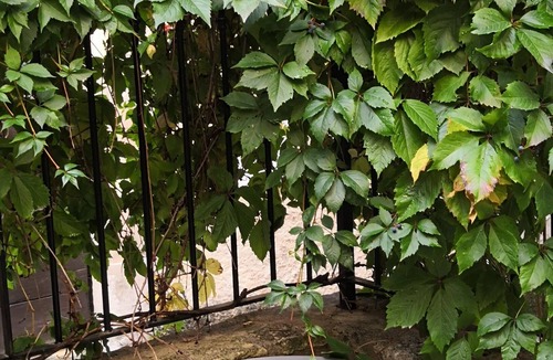 Venasque House | Exceptional view of Mont Ventoux. Charming house, cosy and friendly