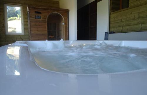 Saint-Andre-dʼApchon Apartment | Gîte chaleureux avec spa et sauna, animaux admis - FR-1-496-23