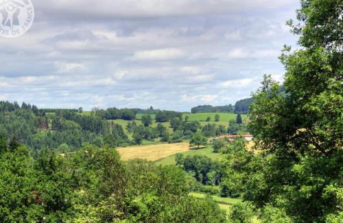 Belmont-de-la-Loire House | Gîte harmonieux 8 pers avec cheminée et animaux admis - FR-1-496-32