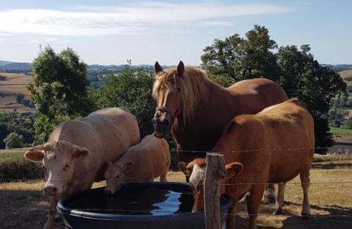 Regny House | Gîte paisible 3 chambres avec cheminée et animaux admis - FR-1-496-221