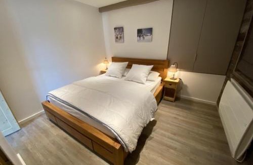 Montalbert Apartment | Le Bouquetin 8 person 50m from slopes in the heart of the village