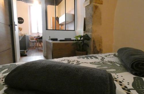 Dijon Centre Ville Apartment | Le Duché - Séjour romantique avec balnéo privative - Dijon centre