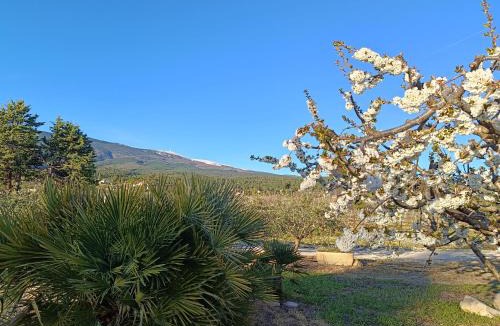 Sainte-Colombe House | Maison de Vacances Au Pied du Mont Ventoux