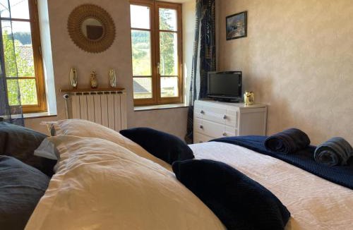Laprugne House | Maison individuelle paisible avec animaux admis, activités pour tous - FR-1-489-448