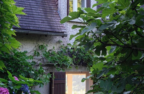 Ruch Cottage | renovated 3-bedroom cottage, panoramic view over the valley, air-conditioned