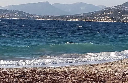 Hyeres Apartment | Studio 4 pers sea view, parking, wifi, air conditioning, household linen provided.