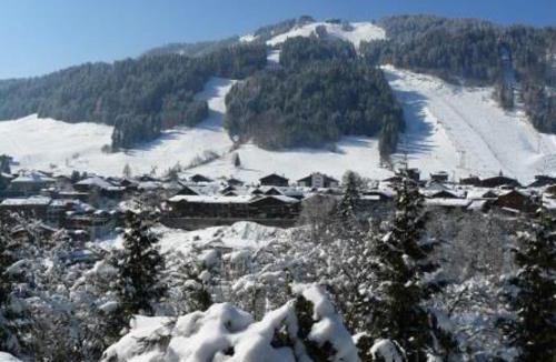 Morzine Apartment | Studio ensoleillé avec mezzanine à Morzine - Animaux admis - FR-1-524-87