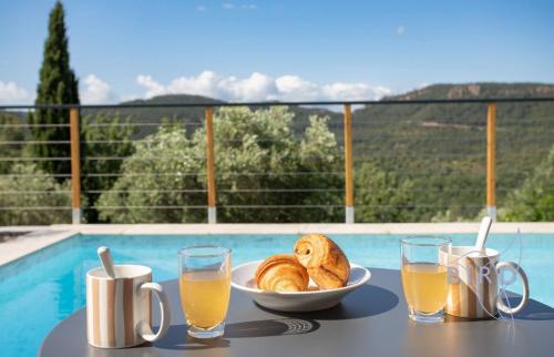 Bagnols-en-Foret Villa | Superb neo-Provençal villa with swimming pool air conditioning and view