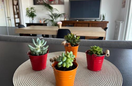 Saint-Sylvestre Apartment | Très beau 3 pièces spacieux lumineux et climatisé