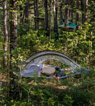 Adventure Forest