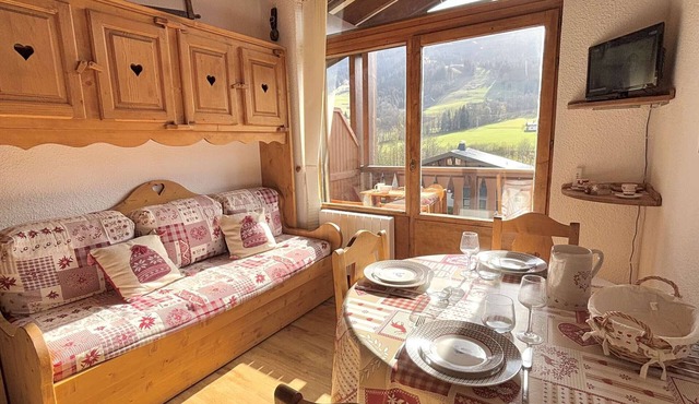 Alcove studio for 3 with terrace near slopes and parking in Praz-sur-Arly