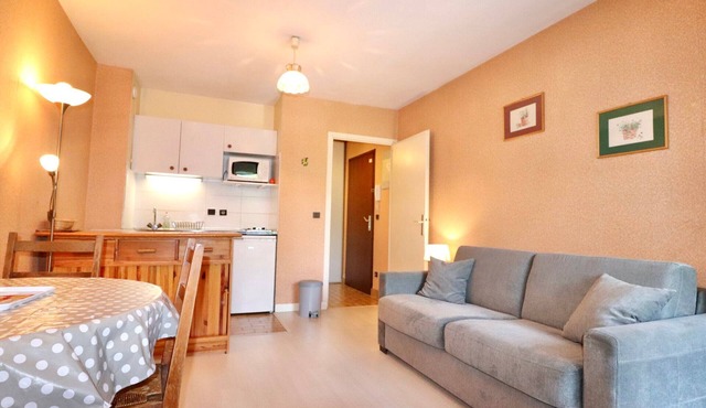 Bright studio near the lake with pets allowed in Annecy