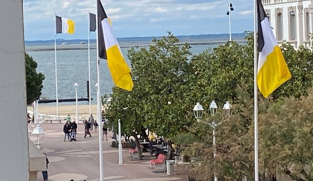 Central Arcachon Apartment with Sea Views, Parking & Balcony, Steps from Beach & Shops
