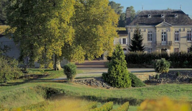 Château entier dans un écrin de vignes