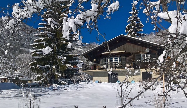 Chalet Harmonie Auris EN Oisans in Auris
