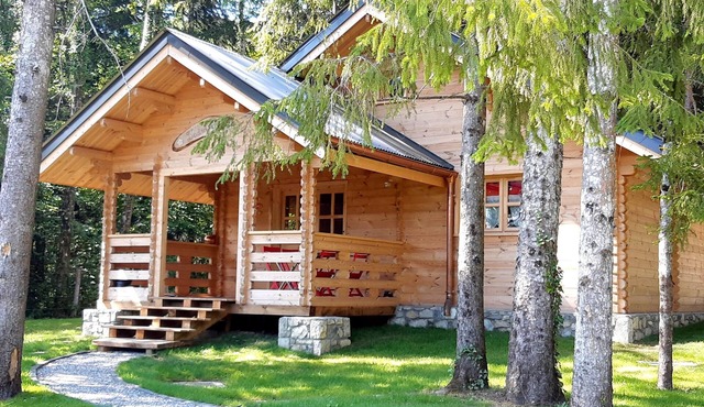 CHALET L'ADRET