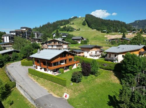 CHALET LA LICORNE 1 - pied des pistes