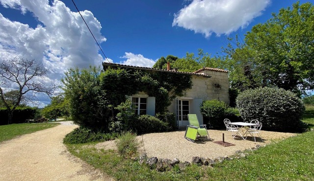 Charming gîte on a hill 10 minutes from Bordeaux; View, beauty, large swimming pool in Camblanes et Meynac