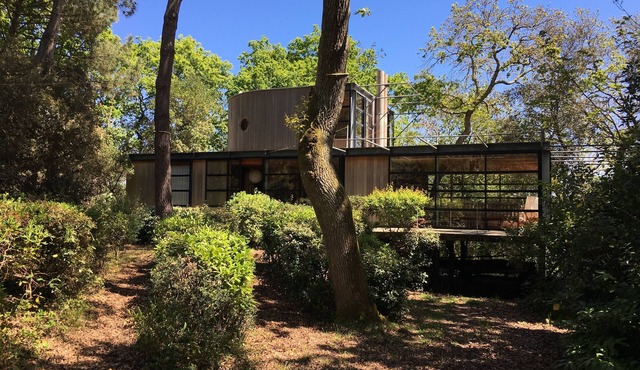 contemporary "green house" house in the forest