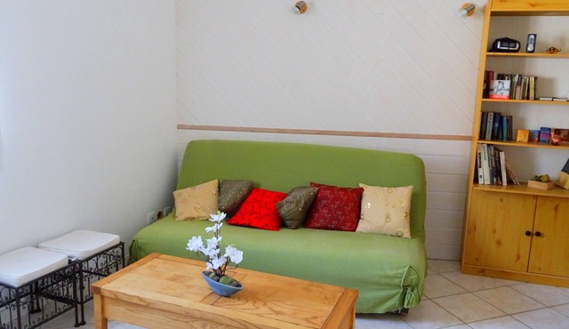 Cottage 40m ² quiet, full campaign 35 minutes from Lyon in THURINS