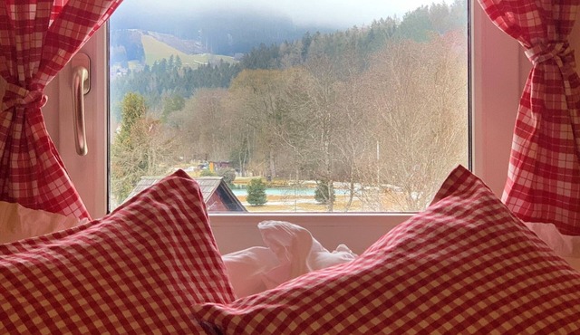 Cozy Tiny Duplex Apartment, Lake 150m, 5 min to the Ski Lift, up to 4 pers in Graßnitz