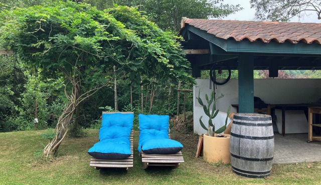 Friendly house surrounded by greenery.
