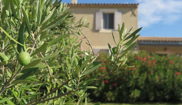 Gite LE PETIT LUBERON COQUELICOT