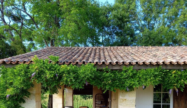 Homerez - House for 4 ppl. with jacuzzi and garden at Saint-Ciers-de-Canesse