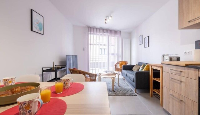 L'Enecy Charming apartment downtown Annecy with garage