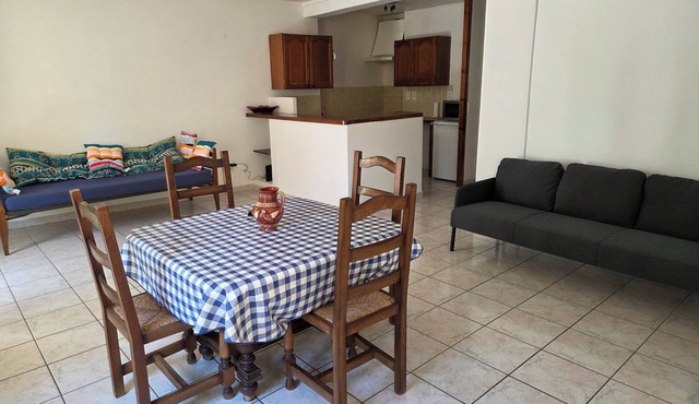 Large, comfortable apartment at the foot of the Ventoux, in the heart of Provence