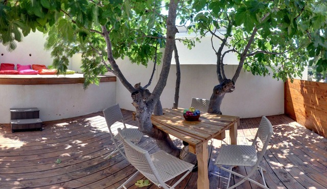 Le Figuier - just a 15-minute walk from Verdon beach