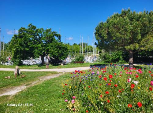 Le grenier a sel