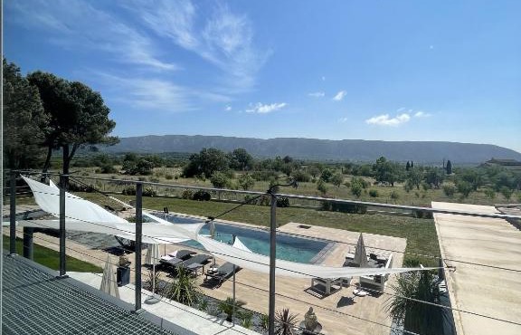 Les pins du Luberon